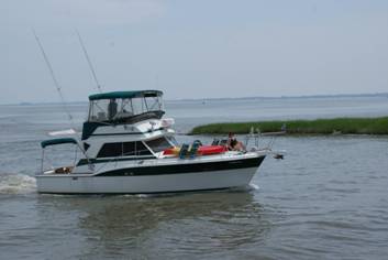 Cruise_201001.JPG