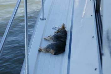 Cruise_201001.JPG