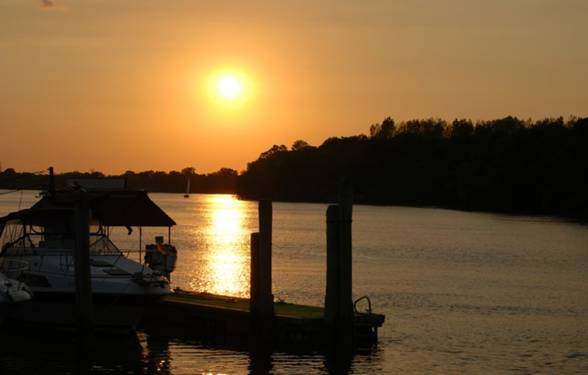 jimmybuffet_party_022_600