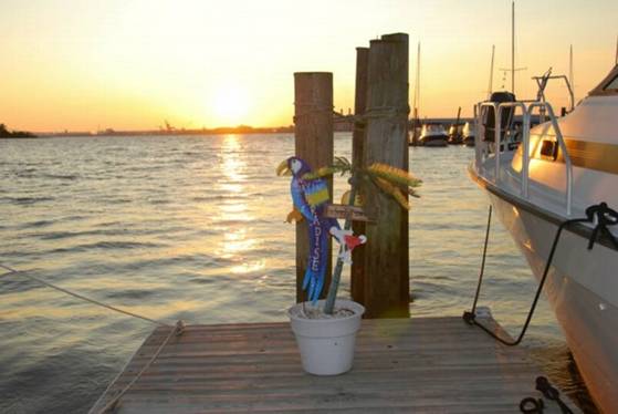 jimmybuffet_party_014_500