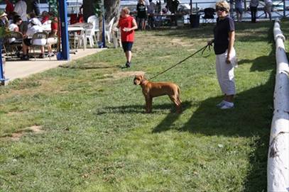 IMG_6777.JPG