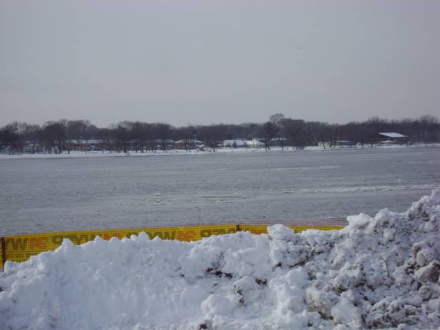 polarplunge4_kuznits.jpg