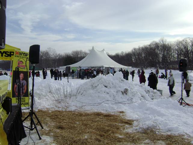 polarplunge4_kuznits.jpg